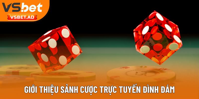 Giới thiệu sảnh cược trực tuyến đình đám