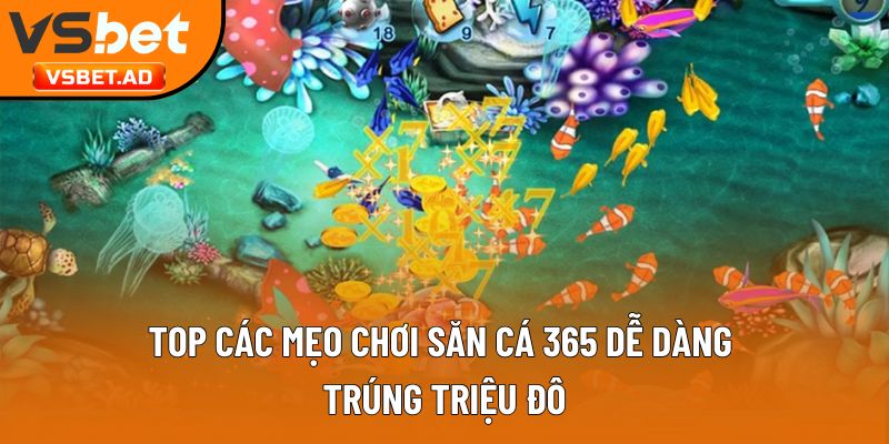 Top các mẹo chơi săn cá 365 dễ dàng trúng triệu đô